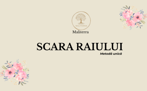 SCARA RAIULUI sesiune individuală