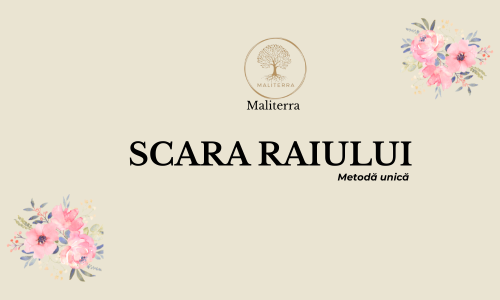 SCARA RAIULUI sesiune individuală