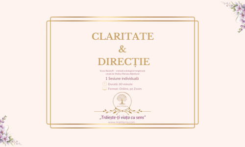 Sesiuni si Programe individuale Malina Claritate si Directie card prezentare site 1