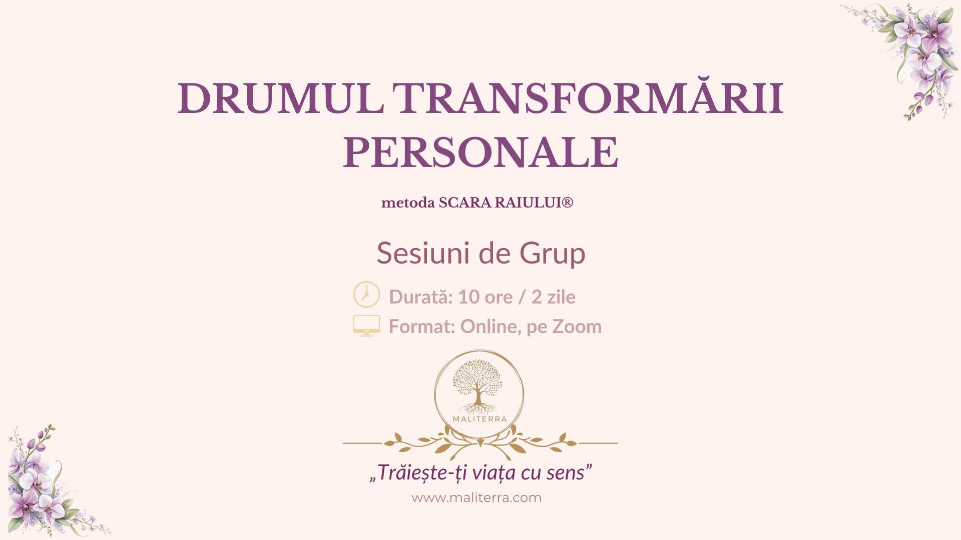 miniatură curs