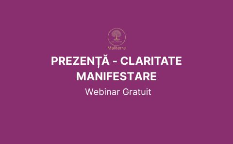 Webinar gratuit logo