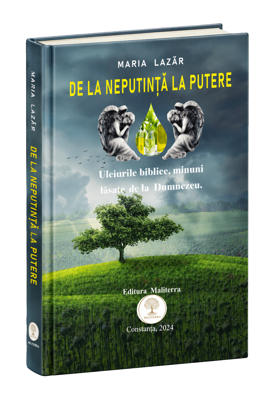 Coperta cărții De la neputință la putere de Maria Lazăr