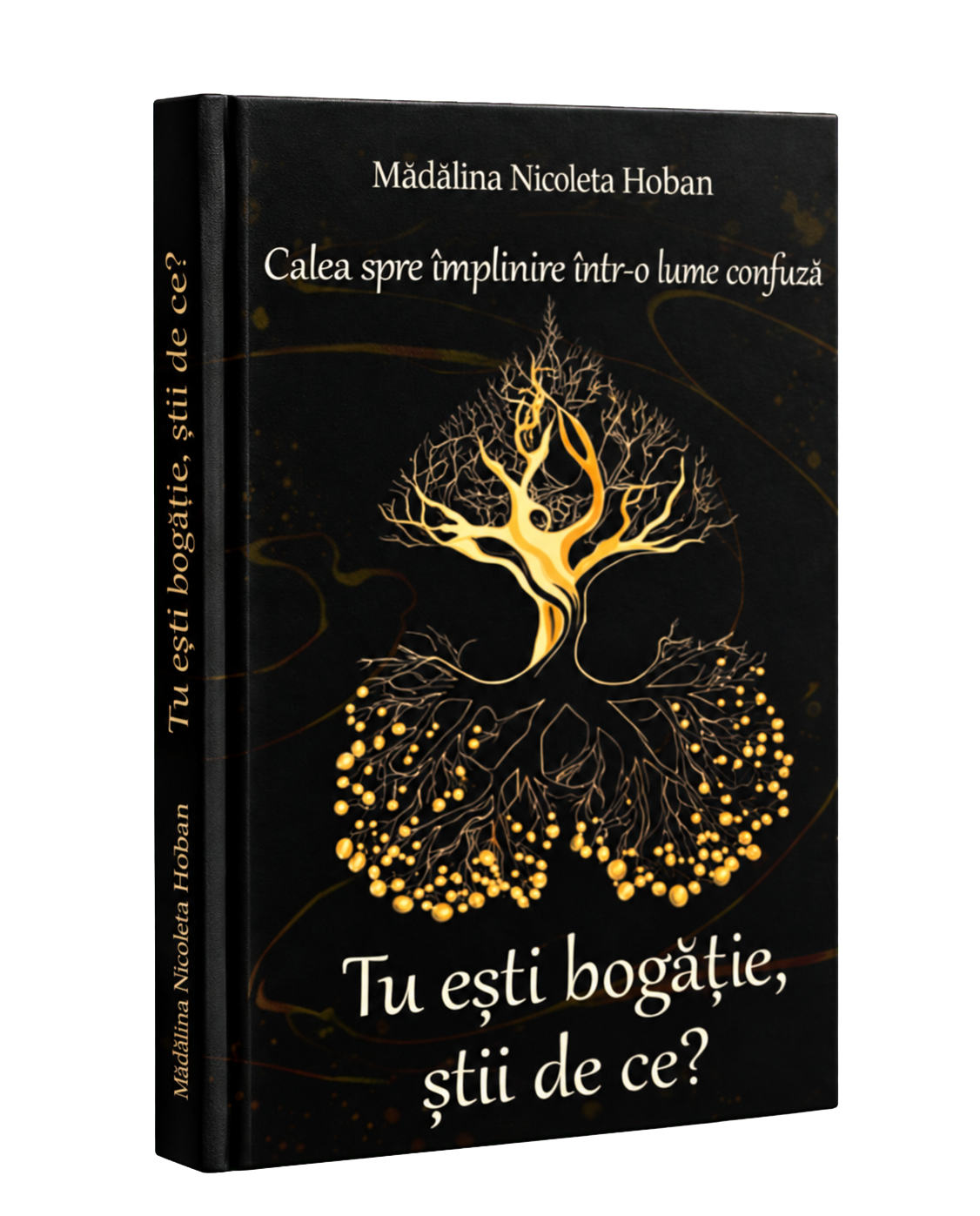 Coperta cărții Tu ești bogăție, știi de ce? de Mădălina Nicoleta Holban